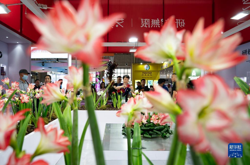 ag捕鱼游戏网